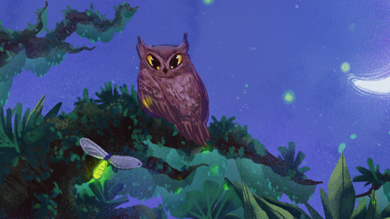 , Book Illustration